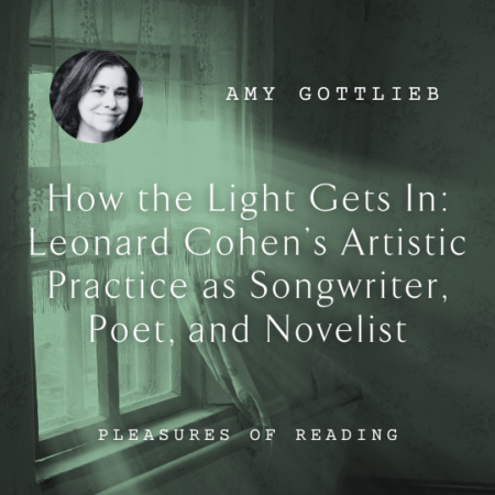 Amy Gottlieb How the Light Gets In